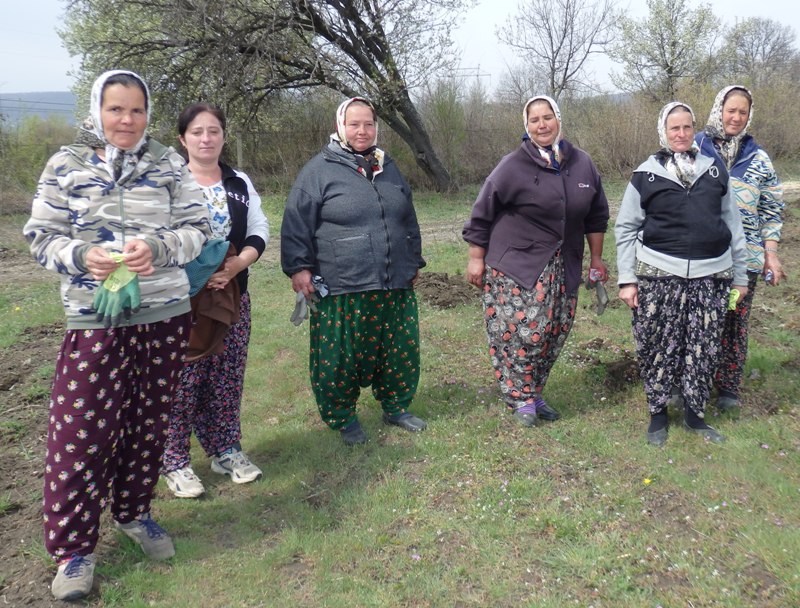 Незаменимите работнички от село Зайчар