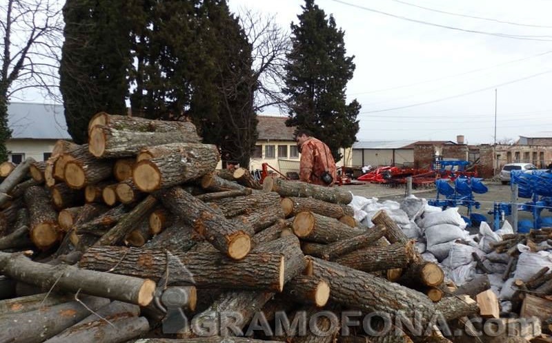 Зимата свърши, а в Сунгурларско още раздават дърва за огрев