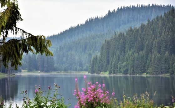 Слънчево време, малко дъжд в планините