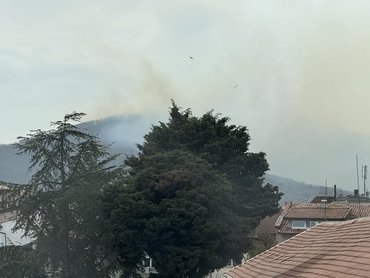 Голям пожар край Царево, горят 30 декара гори