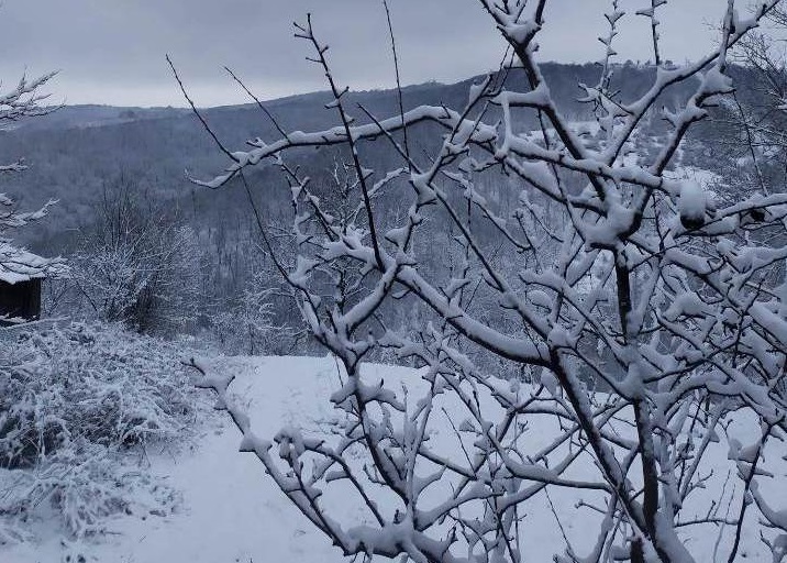 Жълт код за опасно студено време в цяла България