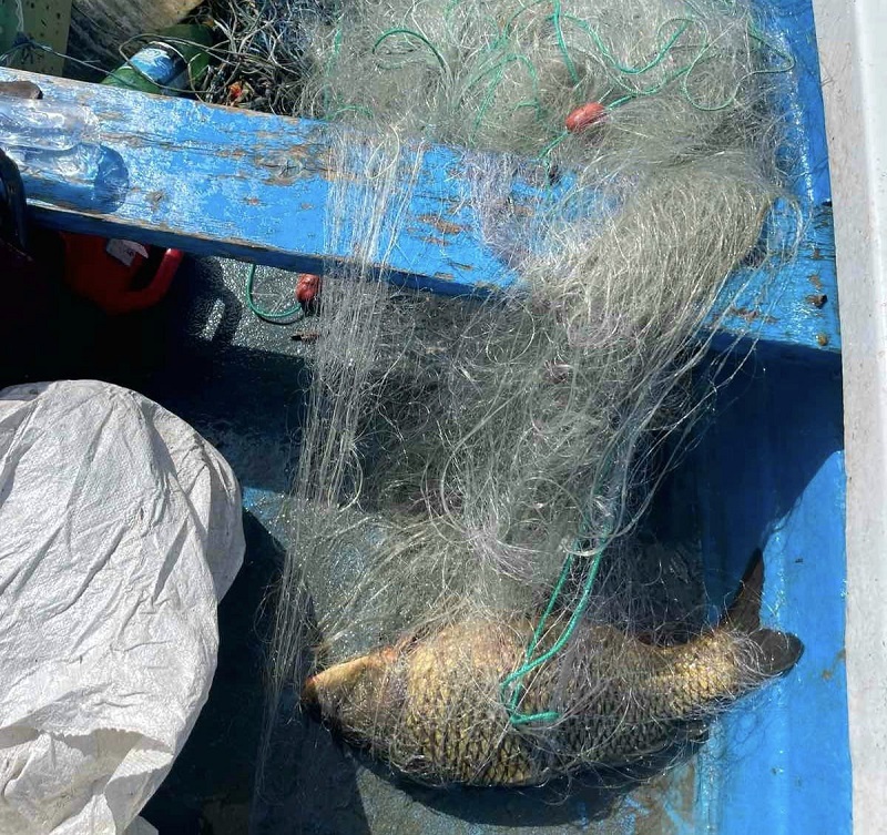 ИАРА върна над 40 кг незаконно уловена риба в язовир „Камчия