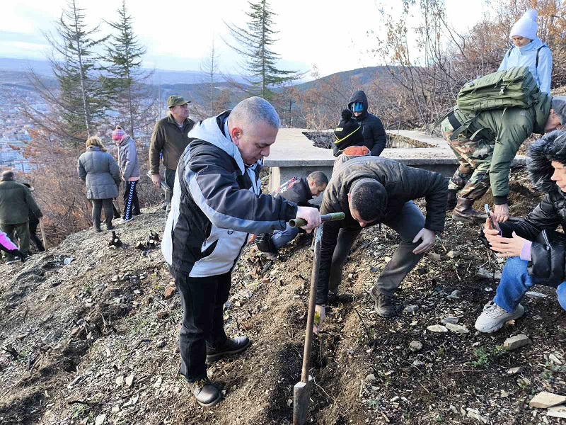 2000 фиданки бяха залесени на опожарени площи край Сливен