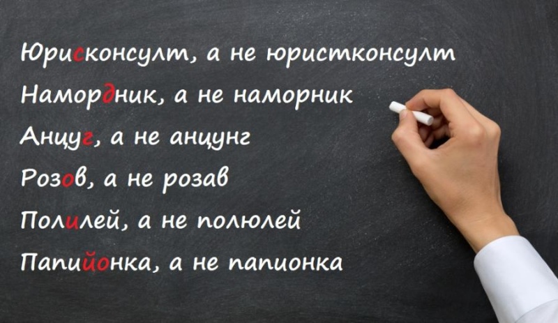 Държавните служители да полагат изпити по правопис, предлага експерт