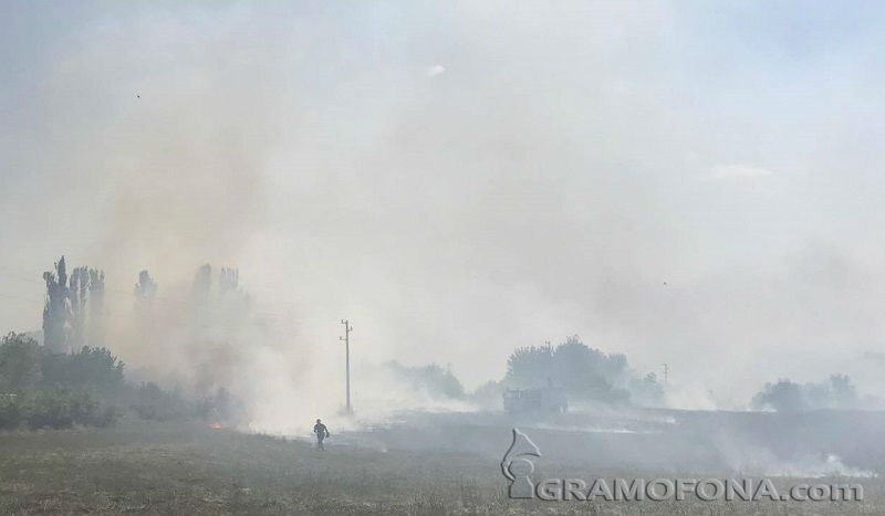 Пожарът от Изворище помете Каптажа и тръгна към Банево