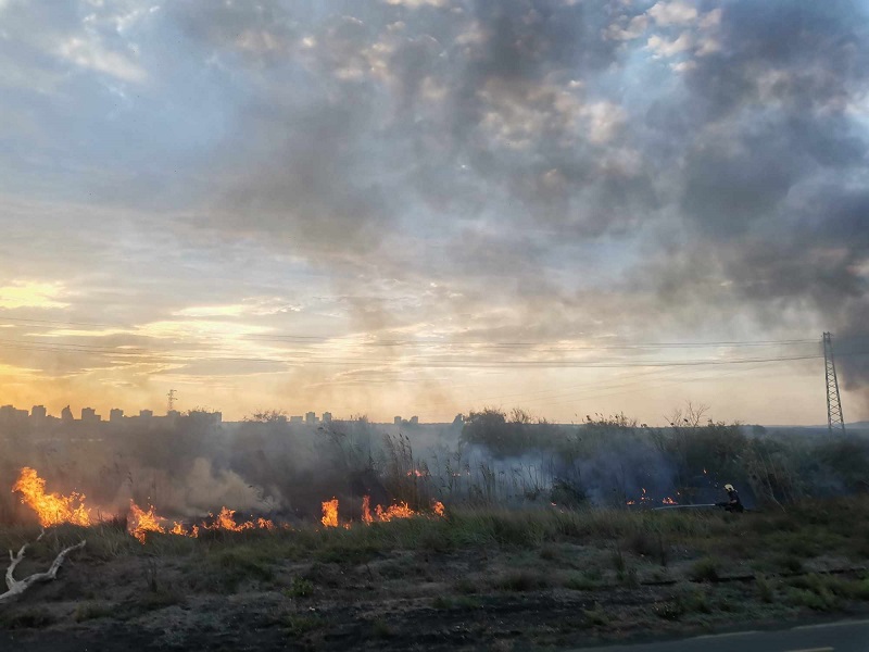 Пожар в Морската градина на Бургас