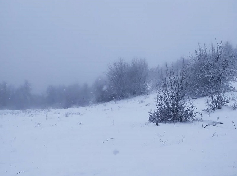 Кодове за опасно време в половин България в неделя