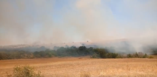 Доброволци и пожарникари гасиха голям пожар край село Дюлево