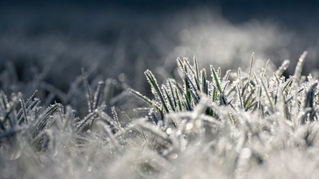 Кипър се готви за рекордно застудяване и снеговалежи