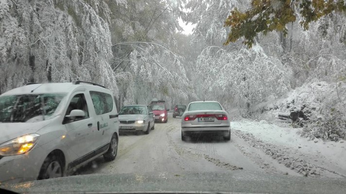 Автомобили закъсаха на прохода Петрохан