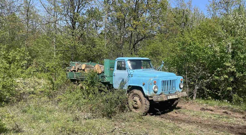 Спец акция на горски разкри канал за добив и търговия с незаконна дървесина