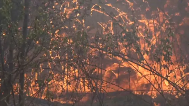25 военни и техника гасят пожара на гръцко-българската граница