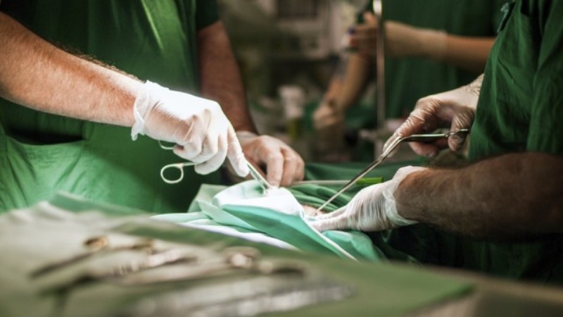 Трансплантациите у нас не са достатъчно, защото няма достатъчно лекари 