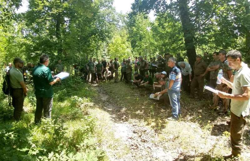 Проведе се Регионалното съвещание по стопанисване на горите