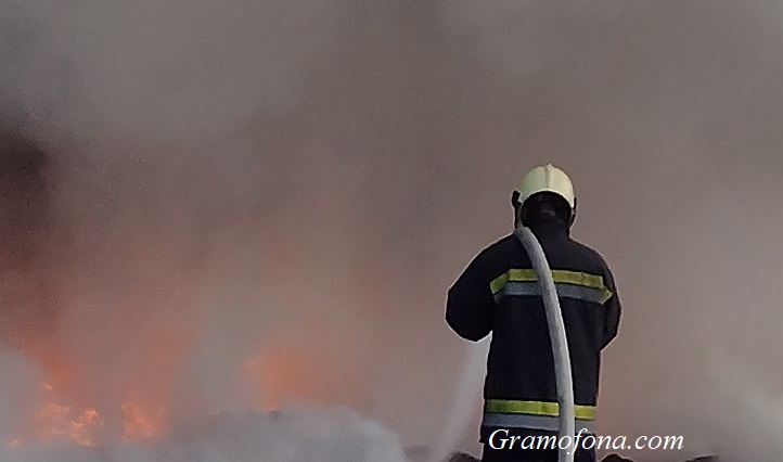  75 дка ниви с пшеница изгоряха при пожар край Русокастро