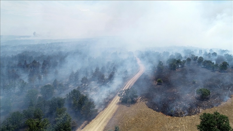 Огромен пожар край Одрин, наши горски в готовност да помагат на съседите