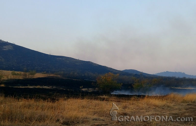 Пореден пожар край Банево