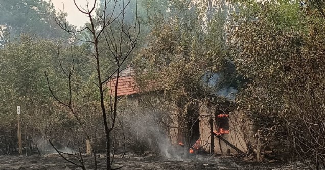 Пожари бушуват трети ден в Хасковско