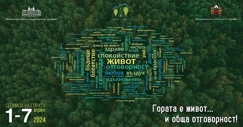 ЮИДП Сливен ще раздаде безвъзмездно  10 000 фиданки по повод Седмицата на гората